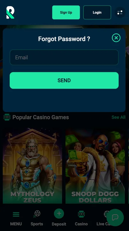 Rolletto password reset screen with email field